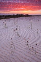 Dunas Etéreas